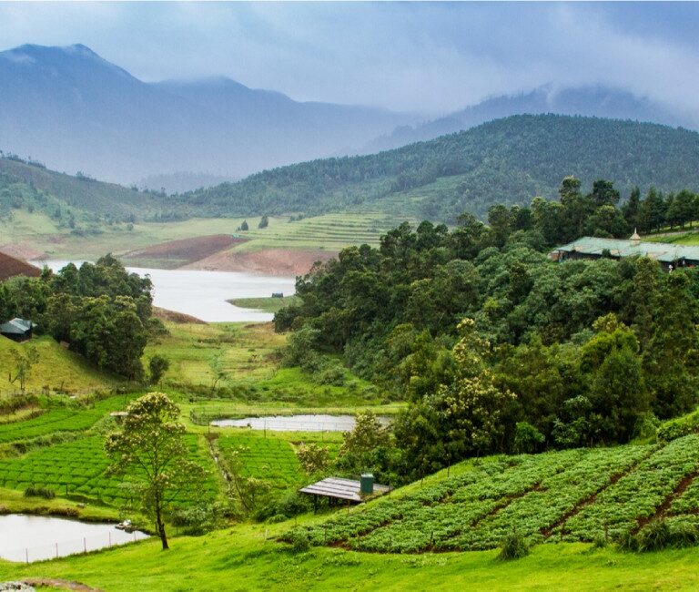 Embarking on Adventure Escapes: Exploring Nature from Little Shola Cottage